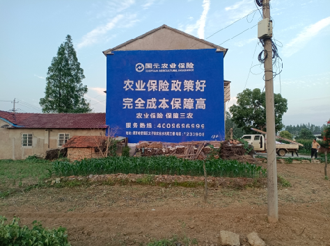 庐江墙体广告为何受追捧？